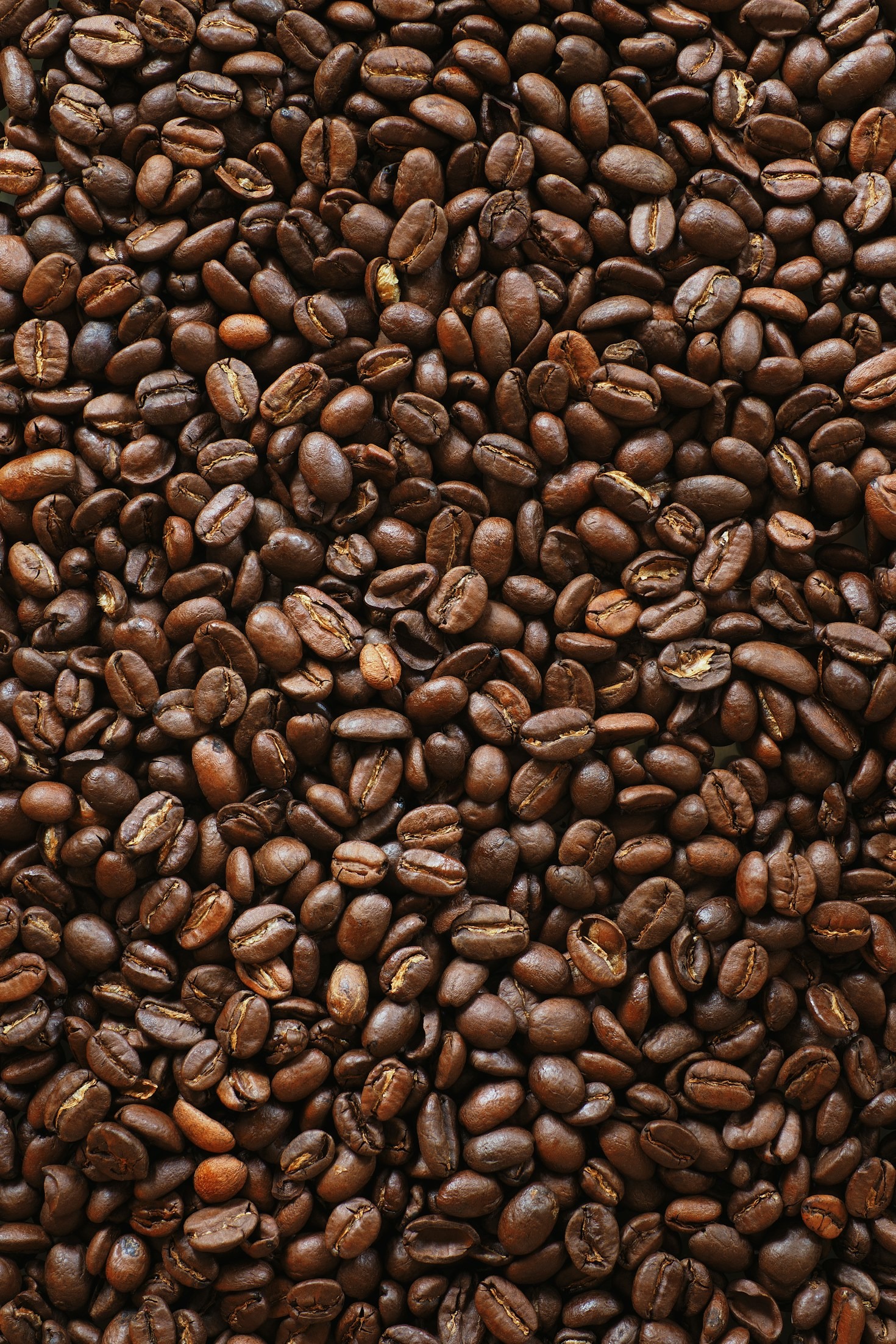Stories of Passion Behind Venezuelan Coffee Producers