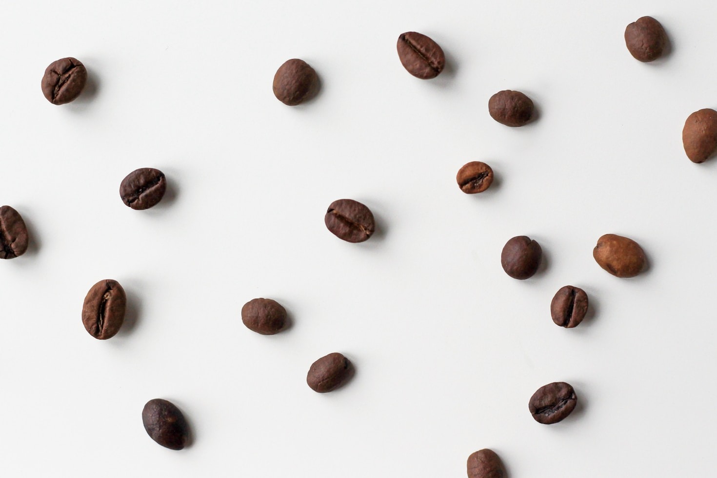 Caminando Cafe’s Mission to Elevate Coffee Excellence